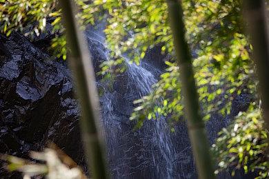 《异变交叉点：涩谷》Steam页面上线 惊悚解谜