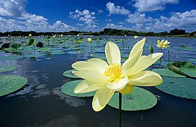 《四海兄弟：故乡》中文预告 首批截图、2025年夏季发售