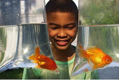 《崩坏：星穹铁道》NPC行为加入AI技术 沉浸感更强