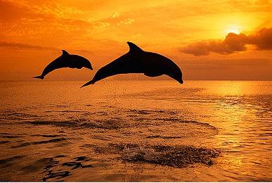 难以相信 《心灵杀手2》开发团队只有130人 是Remedy开发“最艰难的”游戏